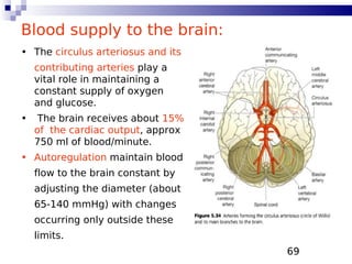 69
Blood supply to the brain:
• The circulus arteriosus and its
contributing arteries play a
vital role in maintaining a
constant supply of oxygen
and glucose.
• The brain receives about 15%
of the cardiac output, approx
750 ml of blood/minute.
• Autoregulation maintain blood
flow to the brain constant by
adjusting the diameter (about
65-140 mmHg) with changes
occurring only outside these
limits.
 