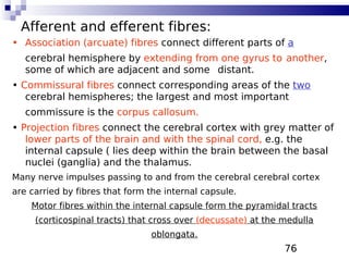 76
Afferent and efferent fibres:
• Association (arcuate) fibres connect different parts of a
cerebral hemisphere by extending from one gyrus to another,
some of which are adjacent and some distant.
• Commissural fibres connect corresponding areas of the two
cerebral hemispheres; the largest and most important
commissure is the corpus callosum.
• Projection fibres connect the cerebral cortex with grey matter of
lower parts of the brain and with the spinal cord, e.g. the
internal capsule ( lies deep within the brain between the basal
nuclei (ganglia) and the thalamus.
Many nerve impulses passing to and from the cerebral cerebral cortex
are carried by fibres that form the internal capsule.
Motor fibres within the internal capsule form the pyramidal tracts
(corticospinal tracts) that cross over (decussate) at the medulla
oblongata.
 