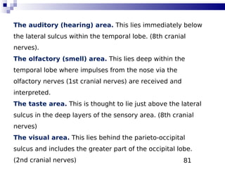 81
The auditory (hearing) area. This lies immediately below
the lateral sulcus within the temporal lobe. (8th cranial
nerves).
The olfactory (smell) area. This lies deep within the
temporal lobe where impulses from the nose via the
olfactory nerves (1st cranial nerves) are received and
interpreted.
The taste area. This is thought to lie just above the lateral
sulcus in the deep layers of the sensory area. (8th cranial
nerves)
The visual area. This lies behind the parieto-occipital
sulcus and includes the greater part of the occipital lobe.
(2nd cranial nerves)
 