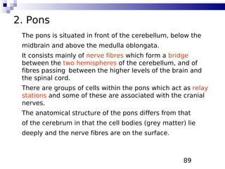 89
2. Pons
The pons is situated in front of the cerebellum, below the
midbrain and above the medulla oblongata.
It consists mainly of nerve fibres which form a bridge
between the two hemispheres of the cerebellum, and of
fibres passing between the higher levels of the brain and
the spinal cord.
There are groups of cells within the pons which act as relay
stations and some of these are associated with the cranial
nerves.
The anatomical structure of the pons differs from that
of the cerebrum in that the cell bodies (grey matter) lie
deeply and the nerve fibres are on the surface.
 