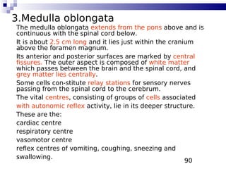 90
3.Medulla oblongata
The medulla oblongata extends from the pons above and is
continuous with the spinal cord below.
It is about 2.5 cm long and it lies just within the cranium
above the foramen magnum.
Its anterior and posterior surfaces are marked by central
fissures. The outer aspect is composed of white matter
which passes between the brain and the spinal cord, and
grey matter lies centrally.
Some cells con-stitute relay stations for sensory nerves
passing from the spinal cord to the cerebrum.
The vital centres, consisting of groups of cells associated
with autonomic reflex activity, lie in its deeper structure.
These are the:
cardiac centre
respiratory centre
vasomotor centre
reflex centres of vomiting, coughing, sneezing and
swallowing.
 
