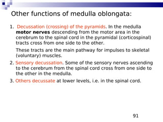 91
Other functions of medulla oblongata:
1. Decussation (crossing) of the pyramids. In the medulla
motor nerves descending from the motor area in the
cerebrum to the spinal cord in the pyramidal (corticospinal)
tracts cross from one side to the other.
These tracts are the main pathway for impulses to skeletal
(voluntary) muscles.
2. Sensory decussation. Some of the sensory nerves ascending
to the cerebrum from the spinal cord cross from one side to
the other in the medulla.
3. Others decussate at lower levels, i.e. in the spinal cord.
 