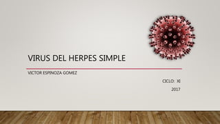 VIRUS DEL HERPES SIMPLE
VICTOR ESPINOZA GOMEZ
CICLO: XI
2017
 