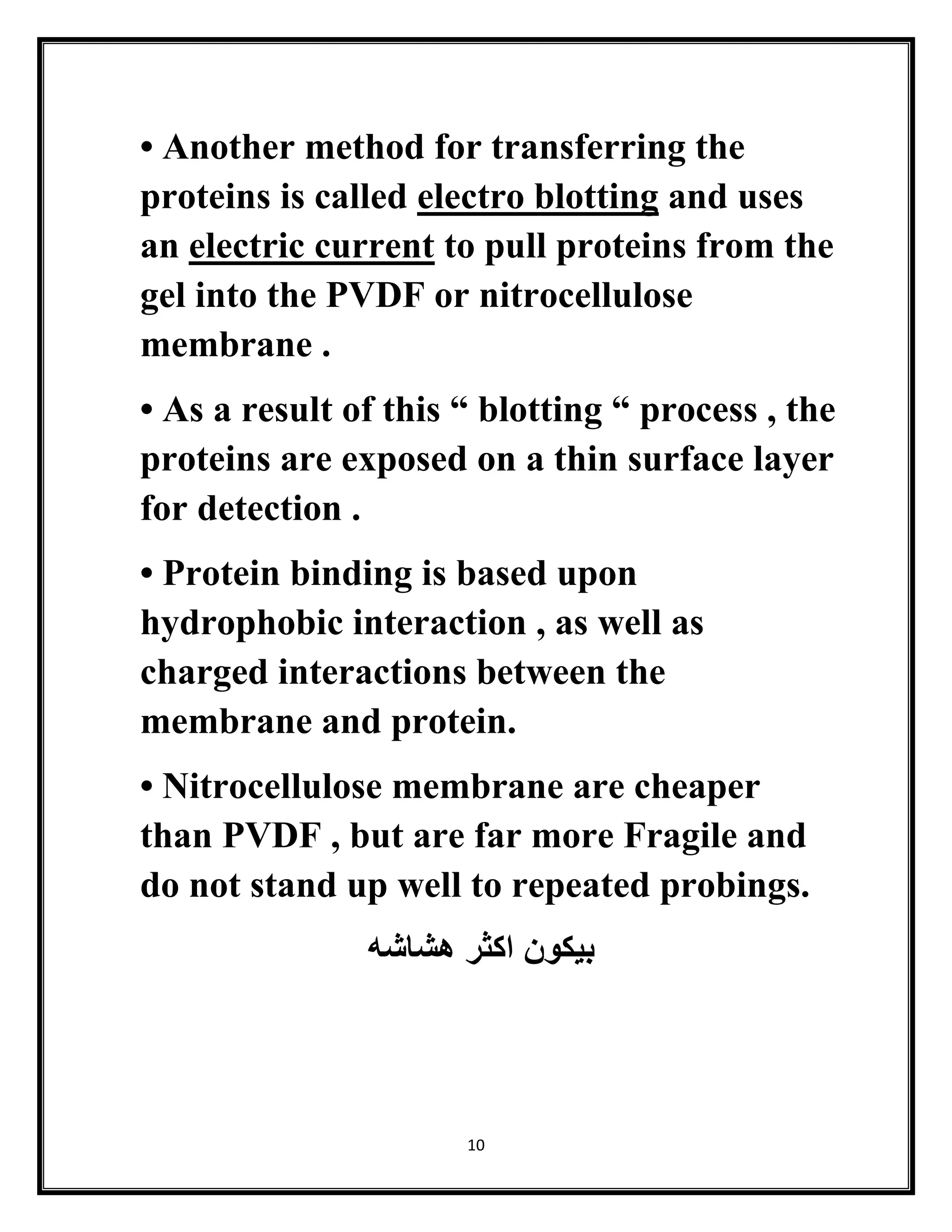 10
• Another method for transferring the
proteins is called electro blotting and uses
an electric current to pull proteins from the
gel into the PVDF or nitrocellulose
membrane .
• As a result of this “ blotting “ process , the
proteins are exposed on a thin surface layer
for detection .
• Protein binding is based upon
hydrophobic interaction , as well as
charged interactions between the
membrane and protein.
• Nitrocellulose membrane are cheaper
than PVDF , but are far more Fragile and
do not stand up well to repeated probings.
‫هشاشه‬ ‫اكثر‬ ‫بيكون‬
 
