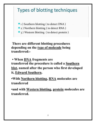 2
There are different blotting procedures
depending on the type of molecule being
transferred:-
• When DNA fragments are
transferred the procedure is called a Southern
blot, named after the person who first developed
it, Edward Southern.
•With Northern blotting, RNA molecules are
transferred
•and with Western blotting, protein molecules are
transferred.
 