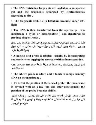 5
• The DNA restriction fragments are loaded onto an agarose
gel and the fragments separated by electrophoresis
according to size .
• The fragments visible with Ethidium bromide under UV-
light
• The DNA is then transferred from the agarose gel to a
membrane ( nylon or nitrocellulose ) and denatured to
produce single strands .
‫تكامل‬ ‫يعمل‬ ‫وعشان‬ ‫الغشاء‬ ‫علي‬ ‫مزدوج‬ ‫شريط‬ ‫بيبقي‬ ‫ايه‬ ‫ان‬ ‫الدي‬ ‫بستخدم‬ ‫لما‬ ‫طبعا‬
‫وتهجين‬‫لشريط‬ ‫يتحول‬ ‫الزم‬ ‫البروب‬ ‫وبين‬ ‫بينه‬ ‫ما‬‫االول‬ ‫الزم‬ ‫كدا‬ ‫عشان‬ ‫مفرد‬
‫مفرد‬ ‫لشريط‬ ‫يتحول‬
• A nucleic acid probe is labeled , usually by incorporating
radioactivity or tagging the molecule with a fluorescent dye .
‫ال‬ ‫الزم‬‫برو‬‫عشا‬ ‫مشعة‬ ‫صبغة‬ ‫او‬ ‫مشعة‬ ‫بماده‬ ‫متعلم‬ ‫يكون‬ ‫ب‬‫احطه‬ ‫لما‬ ‫مكانه‬ ‫احدد‬ ‫ن‬
‫الشاشه‬ ‫تحت‬
• The labeled probe is added and it binds to complementary
DNA on the membrane .
• To detect the position of the labeled probe , the membrane
is covered with an x-ray film and after development the
position of the probe becomes visible.
‫للجهاز‬ ‫وانقله‬ ‫راي‬ ‫لالكس‬ ‫فيلم‬ ‫علي‬ ‫الغشاء‬ ‫بنقل‬ ‫دا‬ ‫فات‬ ‫اللي‬ ‫كل‬ ‫بخلص‬ ‫ما‬ ‫اول‬
‫ارتباط‬ ‫نتيجه‬ ‫طالعة‬ ‫اللي‬ ‫المشعة‬ ‫الماده‬ ‫هيظهرلي‬ ‫اللي‬) ‫تهجين‬ (‫انا‬ ‫اللي‬ ‫التتابع‬
. ‫البروب‬ ‫مع‬ ‫عايزه‬
 