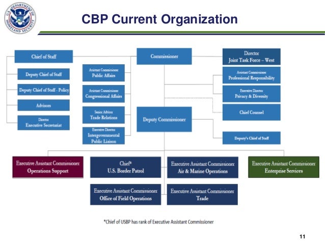 Dhs Cbp Organization Chart
