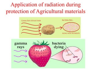 Application of radiation during
protection of Agricultural materials
 