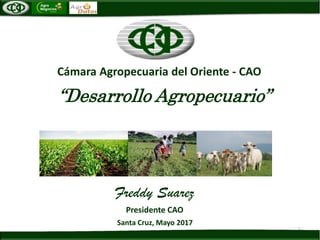 “Desarrollo Agropecuario”
1
Santa Cruz, Mayo 2017
Freddy Suarez
Presidente CAO
Cámara Agropecuaria del Oriente - CAO
 