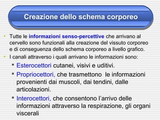 Creazione dello schema corporeo
• Tutte le informazioni senso-percettive che arrivano al
cervello sono funzionali alla creazione del vissuto corporeo
e di conseguenza dello schema corporeo a livello grafico.
• I canali attraverso i quali arrivano le informazioni sono:
 Esterocettori cutanei, visivi e uditivi.
 Propriocettori, che trasmettono le informazioni
provenienti dai muscoli, dai tendini, dalle
articolazioni.
 Interocettori, che consentono l’arrivo delle
informazioni attraverso la respirazione, gli organi
viscerali
 