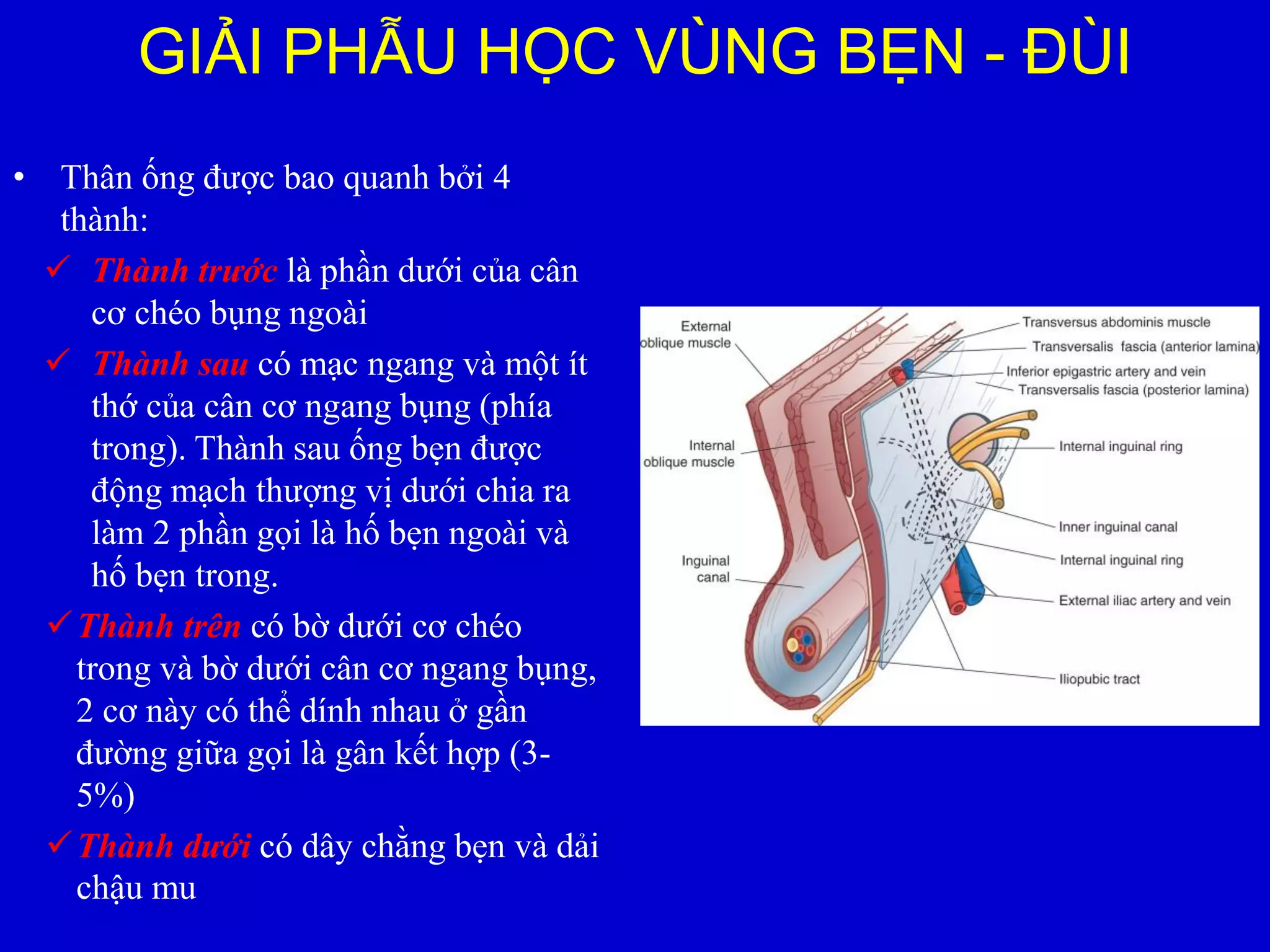 THOÁT VỊ BẸN | PDF