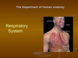 The Department of Human anatomyThe Department of Human anatomy
Respiratory
System
 