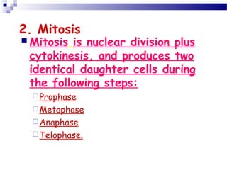 2. Mitosis
 Mitosis is nuclear division plus
cytokinesis, and produces two
identical daughter cells during
the following steps:
Prophase
Metaphase
Anaphase
Telophase.
 