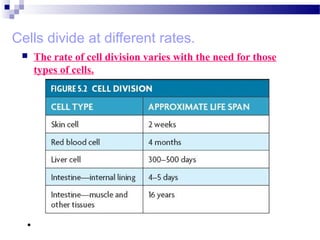 Cells divide at different rates.
 The rate of cell division varies with the need for those
types of cells.
• Some cells are unlikely to divide (G0).
 