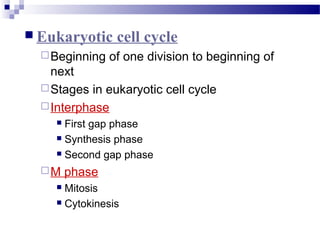  Eukaryotic cell cycle
Beginning of one division to beginning of
next
Stages in eukaryotic cell cycle
Interphase
 First gap phase
 Synthesis phase
 Second gap phase
M phase
 Mitosis
 Cytokinesis
 