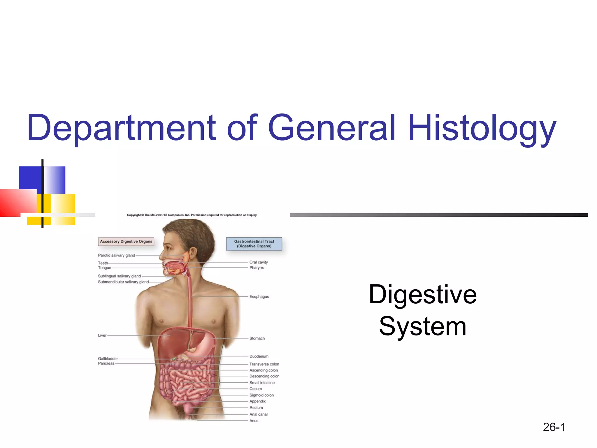 Histology of Digestive system | PPT