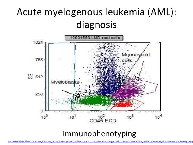 Leukemia