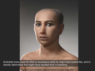 Scientists have used his DNA to reconstruct what he might have looked like, and to
identify deformities that might have resulted from in-breeding
 