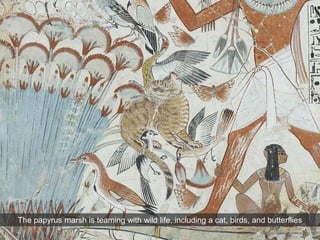 The papyrus marsh is teaming with wild life, including a cat, birds, and butterflies
 