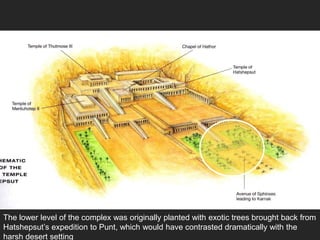 The lower level of the complex was originally planted with exotic trees brought back from
Hatshepsut’s expedition to Punt, which would have contrasted dramatically with the
harsh desert setting
 