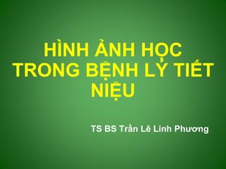 TS BS Trần Lê Linh Phƣơng
HÌNH ẢNH HỌC
TRONG BỆNH LÝ TIẾT
NIỆU
 