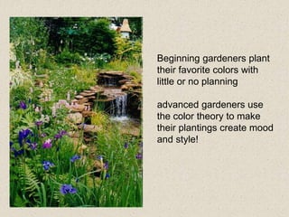 Beginning gardeners plant
their favorite colors with
little or no planning
advanced gardeners use
the color theory to make
their plantings create mood
and style!
 