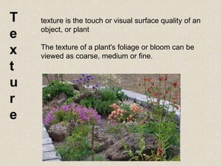 texture is the touch or visual surface quality of an
object, or plant
The texture of a plant's foliage or bloom can be
viewed as coarse, medium or fine.
T
e
x
t
u
r
e
 