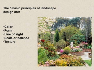 The 5 basic principles of landscape
design are:
•Color
•Form
•Line of sight
•Scale or balance
•Texture
 