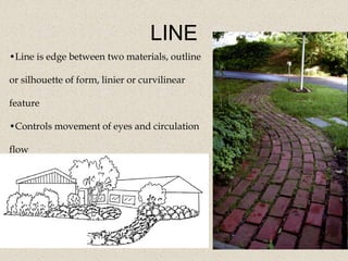 LINE
•Line is edge between two materials, outline
or silhouette of form, linier or curvilinear
feature
•Controls movement of eyes and circulation
flow
 
