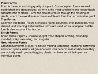 Plant Forms
Form is the most enduring quality of a plant. Common plant forms are well
established and standardized, as form is the most consistent and recognizable
characteristic of plants. Form can also be created through the massing of
plants, where the overall mass creates a different form than an individual plant.
Tree Forms
Common tree forms (Figure 6) include round, columnar, oval, pyramidal, vase
shaped, and weeping. Different tree forms are used for visual appeal, but the
form is also important for function.
Shrub Forms
Shrub forms (Figure 7) include upright, vase shaped, arching, mounding,
rounded, spiky, cascading, and irregular.
Groundcover Forms
Groundcover forms (Figure 7) include matting, spreading, clumping, sprawling,
and short spikes. Almost all groundcovers look better in masses because they
are typically small, ground-hugging plants that have very little impact as
individual plants.
 