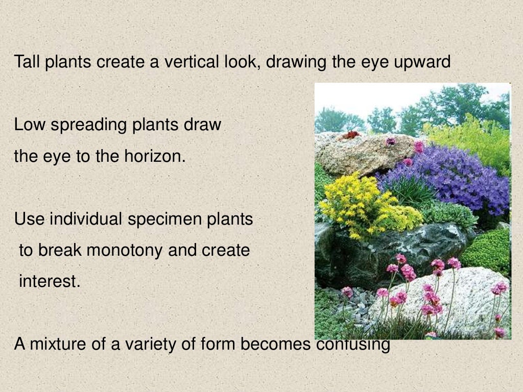 Principles of Landscape Design