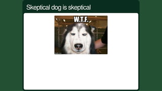 Skeptical	dog	is	skeptical
 
