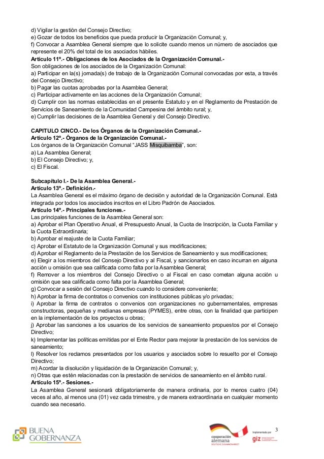 3 Modelo De Acta De Constitucion De La Oc Y Aprobacion De Estatutos