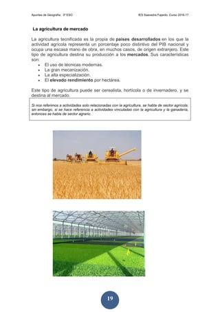 Apuntes de Geografía. 3º ESO IES Saavedra Fajardo. Curso 2016-17
19
La agricultura de mercado
La agricultura tecnificada es la propia de países desarrollados en los que la
actividad agrícola representa un porcentaje poco distintivo del PIB nacional y
ocupa una escasa mano de obra, en muchos casos, de origen extranjero. Este
tipo de agricultura destina su producción a los mercados. Sus características
son:
 El uso de técnicas modernas.
 La gran mecanización.
 La alta especialización.
 El elevado rendimiento por hectárea.
Este tipo de agricultura puede ser cerealista, hortícola o de invernadero, y se
destina al mercado.
Si nos referimos a actividades solo relacionadas con la agricultura, se habla de sector agrícola;
sin embargo, si se hace referencia a actividades vinculadas con la agricultura y la ganadería,
entonces se habla de sector agrario.
 