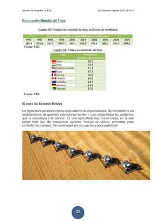 Apuntes de Geografía. 3º ESO IES Saavedra Fajardo. Curso 2016-17
21
Producción Mundial de Trigo
El caso de Estados Unidos
La agricultura estadounidense está altamente especializada. Se fundamenta en
explotaciones de grandes extensiones de tierra que utiliza todos los adelantos
que la tecnología y la ciencia. Es una agricultura muy mecanizada, en la que
existe todo tipo de maquinaria agrícola. Incluso se utilizan avionetas para
controlar los campos. Se caracteriza por ocupar muy poca población
 