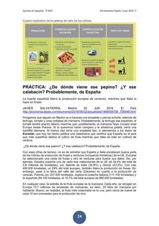 Apuntes de Geografía. 3º ESO IES Saavedra Fajardo. Curso 2016-17
24
Cuadro explicativo de la cadena de valor de los cítricos.
PRÁCTICA: ¿De dónde viene ese pepino? ¿Y ese
calabacín? Probablemente, de España
La huerta española lidera la producción europea de verduras, mientras que Italia lo
hace en frutas
JAVIER SALVATIERRA. Madrid 22 JUN 2016. El País
http://economia.elpais.com/economia/2016/06/22/actualidad/1466594758_708548.html
Pongamos que alguien en Madrid va a hacerse una ensalada y piensa echarle, además de
lechuga, tomate y unas rodajitas de manzana. Probablemente, la lechuga sea española; el
tomate tendrá acento italiano mientras que, posiblemente, la manzana haya cruzado toda
Europa desde Polonia. Si la queremos hacer campera y le añadimos patata, sería una
kartoffel alemana. Al menos esa sería una ensalada tipo, si atendemos a los datos de
Eurostat, que hoy ha hecho pública una estadística que certifica que España es el país
que más superficie dedica al cultivo de fruta mientras que Italia es líder en cultivos de
verdura.
¿De dónde viene ese pepino? ¿Y ese calabacín? Probablemente, de España.
Con esas cifras de terreno, no es de extrañar que España e Italia encabecen buena parte
de los índices de producción de frutas y verduras (incluyendo hortalizas) de la UE. Eurostat
ha seleccionado una cesta de frutas y otra de verduras para ilustrar sus datos. Así, por
ejemplo, España cosecha uno de cada tres melocotones de la UE (el 34,4% del total de
2,8 millones de toneladas), por delante de Italia (32,9%) y Grecia (23,2%). Con casi
400.000 toneladas, un 29% del total europeo, también lidera la producción de fresas. Sin
embargo, pese a la fama del valle del Jerte (Cáceres) en cuanto a la producción de
cerezas, Polonia con 227.500 toneladas, duplica la cosecha italiana (111.100 toneladas) y
la española (94.100 toneladas, el 10,7% del total europeo de 882.000 toneladas).
En cualquier caso, la estrella de la fruta europea es la manzana. Cada año, se recogen en
Europa 12,7 millones de toneladas de manzanas, es decir, 25 kilos de manzana por
habitante. Bueno, en realidad, la fruta más cosechada es la uva, pero cerca de nueve de
cada 10 son prensadas para la producción de vino.
 