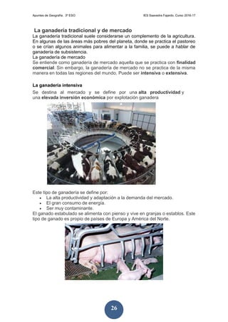 Apuntes de Geografía. 3º ESO IES Saavedra Fajardo. Curso 2016-17
26
La ganadería tradicional y de mercado
La ganadería tradicional suele considerarse un complemento de la agricultura.
En algunas de las áreas más pobres del planeta, donde se practica el pastoreo
o se crían algunos animales para alimentar a la familia, se puede a hablar de
ganadería de subsistencia.
La ganadería de mercado
Se entiende como ganadería de mercado aquella que se practica con finalidad
comercial. Sin embargo, la ganadería de mercado no se practica de la misma
manera en todas las regiones del mundo. Puede ser intensiva o extensiva.
La ganadería intensiva
Se destina al mercado y se define por una alta productividad y
una elevada inversión económica por explotación ganadera
Este tipo de ganadería se define por:
 La alta productividad y adaptación a la demanda del mercado.
 El gran consumo de energía.
 Ser muy contaminante.
El ganado estabulado se alimenta con pienso y vive en granjas o establos. Este
tipo de ganado es propio de países de Europa y América del Norte.
 