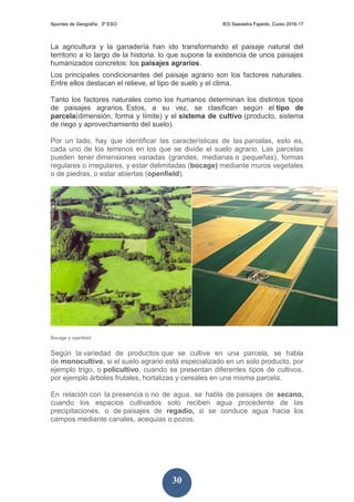 Apuntes de Geografía. 3º ESO IES Saavedra Fajardo. Curso 2016-17
30
La agricultura y la ganadería han ido transformando el paisaje natural del
territorio a lo largo de la historia, lo que supone la existencia de unos paisajes
humanizados concretos: los paisajes agrarios.
Los principales condicionantes del paisaje agrario son los factores naturales.
Entre ellos destacan el relieve, el tipo de suelo y el clima.
Tanto los factores naturales como los humanos determinan los distintos tipos
de paisajes agrarios. Estos, a su vez, se clasifican según el tipo de
parcela(dimensión, forma y límite) y el sistema de cultivo (producto, sistema
de riego y aprovechamiento del suelo).
Por un lado, hay que identificar las características de las parcelas, esto es,
cada uno de los terrenos en los que se divide el suelo agrario. Las parcelas
pueden tener dimensiones variadas (grandes, medianas o pequeñas), formas
regulares o irregulares, y estar delimitadas (bocage) mediante muros vegetales
o de piedras, o estar abiertas (openfield).
Bocage y openfield
Según la variedad de productos que se cultive en una parcela, se habla
de monocultivo, si el suelo agrario está especializado en un solo producto, por
ejemplo trigo, o policultivo, cuando se presentan diferentes tipos de cultivos,
por ejemplo árboles frutales, hortalizas y cereales en una misma parcela.
En relación con la presencia o no de agua, se habla de paisajes de secano,
cuando los espacios cultivados solo reciben agua procedente de las
precipitaciones, o de paisajes de regadío, si se conduce agua hacia los
campos mediante canales, acequias o pozos.
 