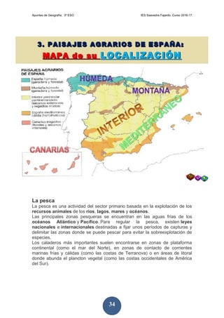 Apuntes de Geografía. 3º ESO IES Saavedra Fajardo. Curso 2016-17
34
La pesca
La pesca es una actividad del sector primario basada en la explotación de los
recursos animales de los ríos, lagos, mares y océanos.
Las principales zonas pesqueras se encuentran en las aguas frías de los
océanos Atlántico y Pacífico. Para regular la pesca, existen leyes
nacionales e internacionales destinadas a fijar unos períodos de capturas y
delimitar las zonas donde se puede pescar para evitar la sobreexplotación de
especies.
Los caladeros más importantes suelen encontrarse en zonas de plataforma
continental (como el mar del Norte), en zonas de contacto de corrientes
marinas frías y cálidas (como las costas de Terranova) o en áreas de litoral
donde abunda el plancton vegetal (como las costas occidentales de América
del Sur).
 