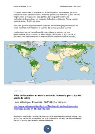 Apuntes de Geografía. 3º ESO IES Saavedra Fajardo. Curso 2016-17
36
Como se muestra en el mapa de las áreas boscosas remanentes, ya se ha
perdido la mitad de los bosques, mientras que mucho de lo que queda ha sido
fragmentado o degradado. Esta pérdida de bosques tropicales es
particularmente aguda en los bosques de las tierras bajas de Asia y en gran
parte de Asia y América Latina.
Sólo tres grandes expansiones de bosques de tierras bajas permanecen en
estas regiones: la Amazonia, la Cuenca del Congo y Nueva Guinea.
Los bosques secos tropicales están aún más amenazados, ya que
generalmente tienen climas y suelos más propicios para la agricultura, el
pastoreo y los asentamientos humanos que las áreas de bosque lluvioso.
LECTURA
Miles de incendios arrasan la selva de Indonesia por culpa del
aceite de palma
Laura Villadiego - Indonesia 22/11/2015 el diario.es
http://www.eldiario.es/desalambre/Terribles-incendios-Indonesia-
empresas-aceite_0_454255403.html
Aunque no es el único culpable, la voracidad de la industria del aceite de palma, cuya
producción ha crecido anualmente un 10% en la última década, ha sido relacionada
con los incendios que cada año arrasan Indonesia
 