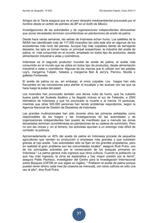 Apuntes de Geografía. 3º ESO IES Saavedra Fajardo. Curso 2016-17
37
Amigos de la Tierra asegura que es el peor desastre medioambiental provocado por el
hombre desde el vertido de petróleo de BP en el Golfo de México
Investigaciones de las autoridades y de organizaciones independientes demuestran
que zonas devastadas terminan convirtiéndose en plantaciones de aceite de palma
Desde hace varias semanas, las selvas de Indonesia echan humo. Los satélites de la
NASA han identificado más de 117.000 incendios tan sólo este año en algunos de los
ecosistemas más ricos del planeta. Aunque hay más culpables detrás de semejante
desastre, los ojos se tornan hacia un principal sospechoso: la industria del aceite de
palma, el más consumido en el mundo, empleado en todos tipo de productos, desde
alimentación industrial a velas y cosméticos.
Indonesia es el segundo productor mundial de aceite de palma, el aceite más
consumido en el mundo que se utiliza en todos tipo de productos, desde alimentación
industrial a velas o cosméticos. Algunas de las marcas que lo utilizan son las patatas
Lay's, margarina Tulipán, helados y margarina Ben & Jerry's, Panrico, Nocilla o
galletas Fontaneda.
El aceite de palma no es, sin embargo, el único culpable. Los fuegos han sido
frecuentes en las concesiones para plantar el eucalipto y las acacias con las que se
hace luego la pulpa del papel.
Los incendios han provocado también una densa nube de humo, que ha cubierto
buena parte del Sudeste Asiático y ha llegado incluso al sur de Tailandia, a 2500
kilómetros de Indonesia y que ha provocado la muerte a al menos 10 personas,
mientras que otras 500.000 personas han tenido problemas respiratorios, según la
Agencia Nacional de Gestión de Desastres de Indonesia.
Las grandes multinacionales han sido durante años las primeras señaladas como
responsables de los fuegos y las investigaciones de las autoridades y de
organizaciones independientes han puesto de manifiesto que a menudo las zonas
devastadas terminan convirtiéndose en plantaciones de su cadena de suministro. Pero
no son las únicas y, en el terreno, los activistas apuntan a un enemigo más difícil de
combatir: la pobreza.
Aproximadamente un 40% del aceite de palma en Indonesia procede de pequeños
agricultores que venden su producción a empresas más grandes y que subsisten
gracias al rojo aceite. "Las autoridades sólo se fijan en los grandes propietarios, pero
en realidad el gran problema son las comunidades locales", asegura Rudi Putra, uno
de los principales activistas por la conservación de los bosques primarios en
Indonesia." La palma genera más ingresos que otros cultivos. Cuando la población ve
que hay más ingresos, la zona se especializa y hay mayor presión por la tierra",
asegura Pablo Pacheco, investigador del Centro para la Investigación Internacional
sobre Bosques (CIFOR en sus siglas en inglés). " Prefieren el aceite de palma porque
pueden tener dinero cada mes [la cosecha es mensual], con otros cultivos es sólo una
vez al año", dice Rudi Putra.
 