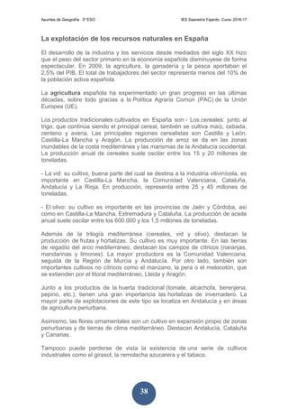 Apuntes de Geografía. 3º ESO IES Saavedra Fajardo. Curso 2016-17
38
La explotación de los recursos naturales en España
El desarrollo de la industria y los servicios desde mediados del siglo XX hizo
que el peso del sector primario en la economía española disminuyese de forma
espectacular. En 2009, la agricultura, la ganadería y la pesca aportaban el
2,5% del PIB. El total de trabajadores del sector representa menos del 10% de
la población activa española.
La agricultura española ha experimentado un gran progreso en las últimas
décadas, sobre todo gracias a la Política Agraria Común (PAC) de la Unión
Europea (UE).
Los productos tradicionales cultivados en España son:- Los cereales: junto al
trigo, que continúa siendo el principal cereal, también se cultiva maíz, cebada,
centeno y avena. Las principales regiones cerealistas son Castilla y León,
Castilla-La Mancha y Aragón. La producción de arroz se da en las zonas
inundables de la costa mediterránea y las marismas de la Andalucía occidental.
La producción anual de cereales suele oscilar entre los 15 y 20 millones de
toneladas.
- La vid: su cultivo, buena parte del cual se destina a la industria vitivinícola, es
importante en Castilla-La Mancha, la Comunidad Valenciana, Cataluña,
Andalucía y La Rioja. En producción, representa entre 25 y 45 millones de
toneladas.
- El olivo: su cultivo es importante en las provincias de Jaén y Córdoba, así
como en Castilla-La Mancha, Extremadura y Cataluña. La producción de aceite
anual suele oscilar entre los 600.000 y los 1,5 millones de toneladas.
Además de la trilogía mediterránea (cereales, vid y olivo), destacan la
producción de frutas y hortalizas. Su cultivo es muy importante. En las tierras
de regadío del arco mediterráneo, destacan los campos de cítricos (naranjas,
mandarinas y limones). La mayor productora es la Comunidad Valenciana,
seguida de la Región de Murcia y Andalucía. Por otro lado, también son
importantes cultivos no cítricos como el manzano, la pera o el melocotón, que
se extienden por el litoral mediterráneo, Lleida y Aragón.
Junto a los productos de la huerta tradicional (tomate, alcachofa, berenjena,
pepino, etc.), tienen una gran importancia las hortalizas de invernadero. La
mayor parte de explotaciones de este tipo se localiza en Andalucía y en áreas
de agricultura periurbana.
Asimismo, las flores ornamentales son un cultivo en expansión propio de zonas
periurbanas y de tierras de clima mediterráneo. Destacan Andalucía, Cataluña
y Canarias.
Tampoco puede perderse de vista la existencia de una serie de cultivos
industriales como el girasol, la remolacha azucarera y el tabaco.
 