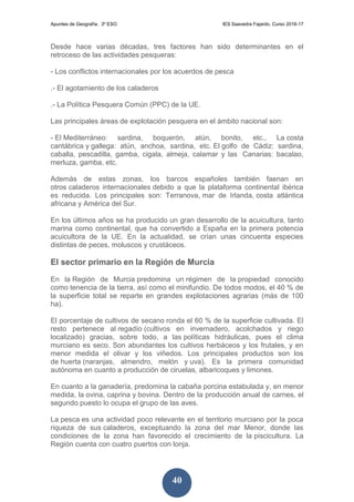 Apuntes de Geografía. 3º ESO IES Saavedra Fajardo. Curso 2016-17
40
Desde hace varias décadas, tres factores han sido determinantes en el
retroceso de las actividades pesqueras:
- Los conflictos internacionales por los acuerdos de pesca
.- El agotamiento de los caladeros
.- La Política Pesquera Común (PPC) de la UE.
Las principales áreas de explotación pesquera en el ámbito nacional son:
- El Mediterráneo: sardina, boquerón, atún, bonito, etc., La costa
cantábrica y gallega: atún, anchoa, sardina, etc. El golfo de Cádiz: sardina,
caballa, pescadilla, gamba, cigala, almeja, calamar y las Canarias: bacalao,
merluza, gamba, etc.
Además de estas zonas, los barcos españoles también faenan en
otros caladeros internacionales debido a que la plataforma continental ibérica
es reducida. Los principales son: Terranova, mar de Irlanda, costa atlántica
africana y América del Sur.
En los últimos años se ha producido un gran desarrollo de la acuicultura, tanto
marina como continental, que ha convertido a España en la primera potencia
acuicultora de la UE. En la actualidad, se crían unas cincuenta especies
distintas de peces, moluscos y crustáceos.
El sector primario en la Región de Murcia
En la Región de Murcia predomina un régimen de la propiedad conocido
como tenencia de la tierra, así como el minifundio. De todos modos, el 40 % de
la superficie total se reparte en grandes explotaciones agrarias (más de 100
ha).
El porcentaje de cultivos de secano ronda el 60 % de la superficie cultivada. El
resto pertenece al regadío (cultivos en invernadero, acolchados y riego
localizado) gracias, sobre todo, a las políticas hidráulicas, pues el clima
murciano es seco. Son abundantes los cultivos herbáceos y los frutales, y en
menor medida el olivar y los viñedos. Los principales productos son los
de huerta (naranjas, almendro, melón y uva). Es la primera comunidad
autónoma en cuanto a producción de ciruelas, albaricoques y limones.
En cuanto a la ganadería, predomina la cabaña porcina estabulada y, en menor
medida, la ovina, caprina y bovina. Dentro de la producción anual de carnes, el
segundo puesto lo ocupa el grupo de las aves.
La pesca es una actividad poco relevante en el territorio murciano por la poca
riqueza de sus caladeros, exceptuando la zona del mar Menor, donde las
condiciones de la zona han favorecido el crecimiento de la piscicultura. La
Región cuenta con cuatro puertos con lonja.
 