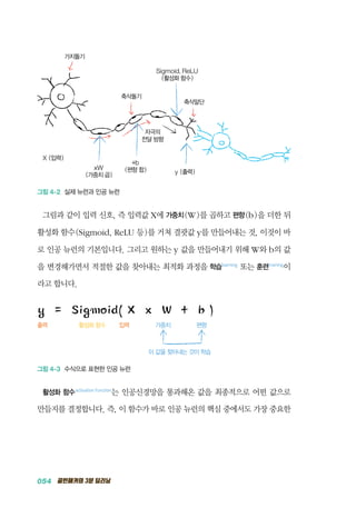054 골빈해커의 3분 딥러닝
자극의
전달 방향
가지돌기
축삭돌기
축삭말단
X (입력)
y (출력)
xW
(가중치 곱)
+b
(편향 합)
Sigmoid, ReLU
(활성화 함수)
그림 4-2 실제 뉴런과 인공 뉴런
그림과 같이 입력 신호, 즉 입력값 X에 가중치(W)를 곱하고 편향(b)을 더한 뒤
활성화 함수(Sigmoid, ReLU 등)를 거쳐 결괏값 y를 만들어내는 것, 이것이 바
로 인공 뉴런의 기본입니다. 그리고 원하는 y 값을 만들어내기 위해 W와 b의 값
을 변경해가면서 적절한 값을 찾아내는 최적화 과정을 학습learning
또는 훈련training
이
라고 합니다.
출력		 활성화 함수 입력	 가중치	 편향
			 	 이 값을 찾아내는 것이 학습
y = Sigmoid( X x W + b )
그림 4-3 수식으로 표현한 인공 뉴런
활성화 함수activation function
는 인공신경망을 통과해온 값을 최종적으로 어떤 값으로
만들지를 결정합니다. 즉, 이 함수가 바로 인공 뉴런의 핵심 중에서도 가장 중요한
 