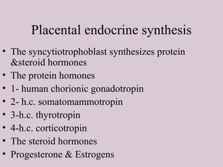 Placental endocrine synthesis
• The syncytiotrophoblast synthesizes protein
&steroid hormones
• The protein homones
• 1- human chorionic gonadotropin
• 2- h.c. somatomammotropin
• 3-h.c. thyrotropin
• 4-h.c. corticotropin
• The steroid hormones
• Progesterone & Estrogens
 