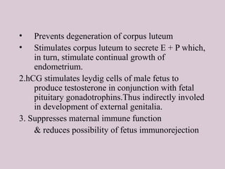 • Prevents degeneration of corpus luteum
• Stimulates corpus luteum to secrete E + P which,
in turn, stimulate continual growth of
endometrium.
2.hCG stimulates leydig cells of male fetus to
produce testosterone in conjunction with fetal
pituitary gonadotrophins.Thus indirectly involed
in development of external genitalia.
3. Suppresses maternal immune function
& reduces possibility of fetus immunorejection
 