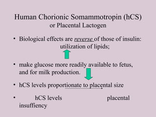 Human Chorionic Somammotropin (hCS)
or Placental Lactogen
• Biological effects are reverse of those of insulin:
utilization of lipids;
• make glucose more readily available to fetus,
and for milk production.
• hCS levels proportionate to placental size
• hCS levels placental
insuffiency
 