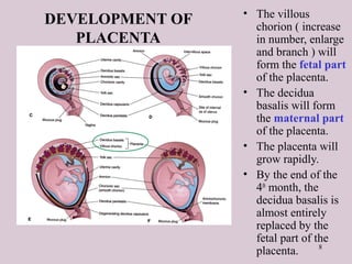 8
DEVELOPMENT OF
PLACENTA
• The villous
chorion ( increase
in number, enlarge
and branch ) will
form the fetal part
of the placenta.
• The decidua
basalis will form
the maternal part
of the placenta.
• The placenta will
grow rapidly.
• By the end of the
4th
month, the
decidua basalis is
almost entirely
replaced by the
fetal part of the
placenta.
 