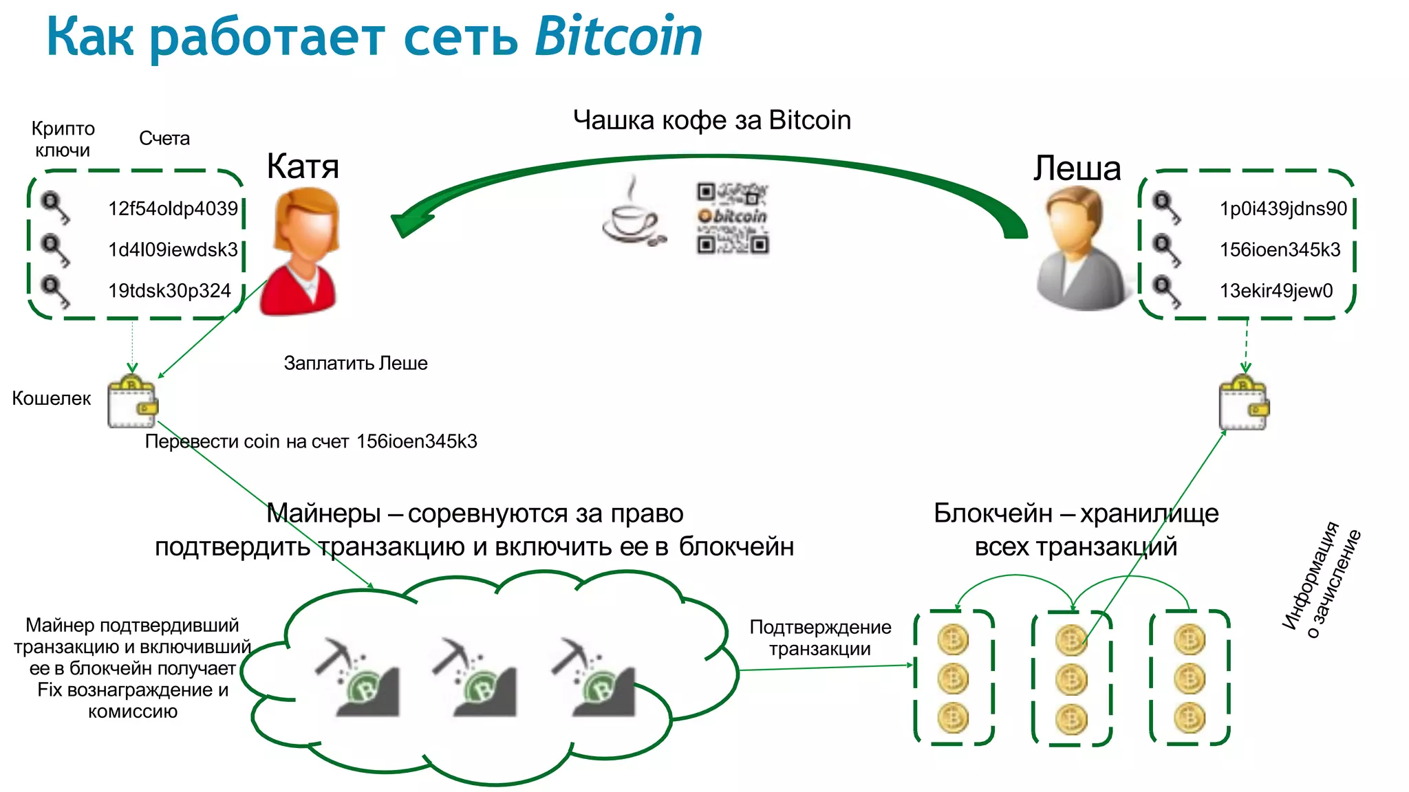 Катя Леша
12f54oldp4039
1d4l09iewdsk3
19tdsk30p324
Счета
Крипто
ключи
1p0i439jdns90
156ioen345k3
13ekir49jew0
Чашка кофе за Bitcoin
Блокчейн – хранилище
всех транзакций
Информация
озачисление
Подтверждение
транзакции
Майнер подтвердивший
транзакцию и включивший
ее в блокчейн получает
Fix вознаграждение и
комиссию
Майнеры – соревнуются за право
подтвердить транзакцию и включить ее в блокчейн
Заплатить Леше
Кошелек
Перевести coin на счет 156ioen345k3
Как работает сеть Bitcoin
 