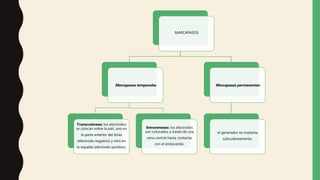 MARCAPASOS
Marcapasos temporales
Transcutáneos: los electrodos
se colocan sobre la piel, uno en
la parte anterior del tórax
(electrodo negativo) y otro en
la espalda (electrodo positivo).
Intravenosos: los electrodos
son colocados a través de una
vena central hasta contactar
con el endocardio.
Marcapasos permanentes
el generador se implanta
subcutáneamente.
 